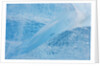 Neumayer Glacier on South Georgia Island by Anonymous