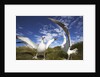 Wandering Albatrosses on South Georgia Island by Anonymous