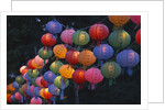 Paper Lanterns at Jangchung Park by Anonymous