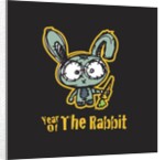 Year of the Rabbit by Anonymous