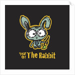 Year of the Rabbit by Anonymous