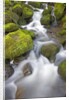 Small Creek by Anonymous