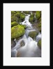 Small Creek by Anonymous