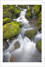 Small Creek by Anonymous