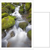 Small Creek by Anonymous