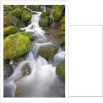 Small Creek by Anonymous