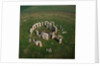 Stonehenge by Anonymous