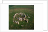 Stonehenge by Anonymous