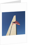 Washington Monument by Anonymous