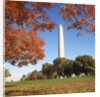 Washington Monument by Anonymous