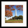 Washington Monument by Anonymous