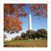 Washington Monument by Anonymous