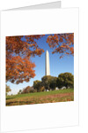 Washington Monument by Anonymous