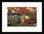 Autumn Foliage in Japanese Garden by Anonymous