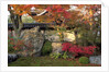 Autumn Foliage in Japanese Garden by Anonymous