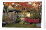 Autumn Foliage in Japanese Garden by Anonymous