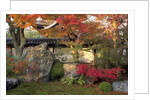 Autumn Foliage in Japanese Garden by Anonymous