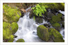 Waterfall and Mossy Rocks by Anonymous