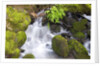 Waterfall and Mossy Rocks by Anonymous