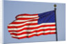 American Flag on Flagpole by Anonymous