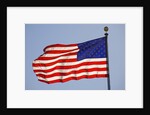 American Flag on Flagpole by Anonymous