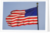 American Flag on Flagpole by Anonymous