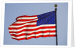 American Flag on Flagpole by Anonymous