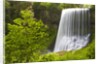 Middle North Falls and Foliage by Anonymous