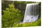 Middle North Falls and Foliage by Anonymous
