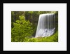Middle North Falls and Foliage by Anonymous