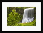 Middle North Falls and Foliage by Anonymous