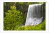 Middle North Falls and Foliage by Anonymous