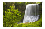 Middle North Falls and Foliage by Anonymous