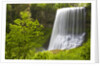 Middle North Falls and Foliage by Anonymous