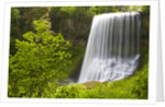 Middle North Falls and Foliage by Anonymous