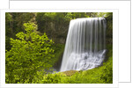 Middle North Falls and Foliage by Anonymous