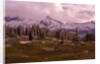 Pinnacle Peak in Winter by Anonymous