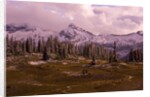 Pinnacle Peak in Winter by Anonymous