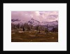 Pinnacle Peak in Winter by Anonymous