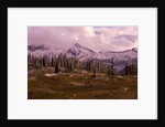 Pinnacle Peak in Winter by Anonymous