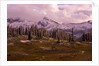 Pinnacle Peak in Winter by Anonymous