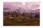Pinnacle Peak in Winter by Anonymous