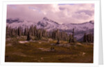 Pinnacle Peak in Winter by Anonymous