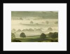 Foggy Grassland by Anonymous