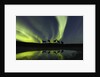 Horses under the Aurora Borealis by Anonymous