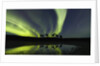 Horses under the Aurora Borealis by Anonymous