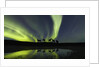 Horses under the Aurora Borealis by Anonymous