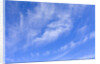 Feathery Cirrus Clouds by Anonymous