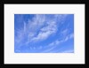 Feathery Cirrus Clouds by Anonymous
