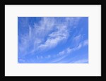 Feathery Cirrus Clouds by Anonymous